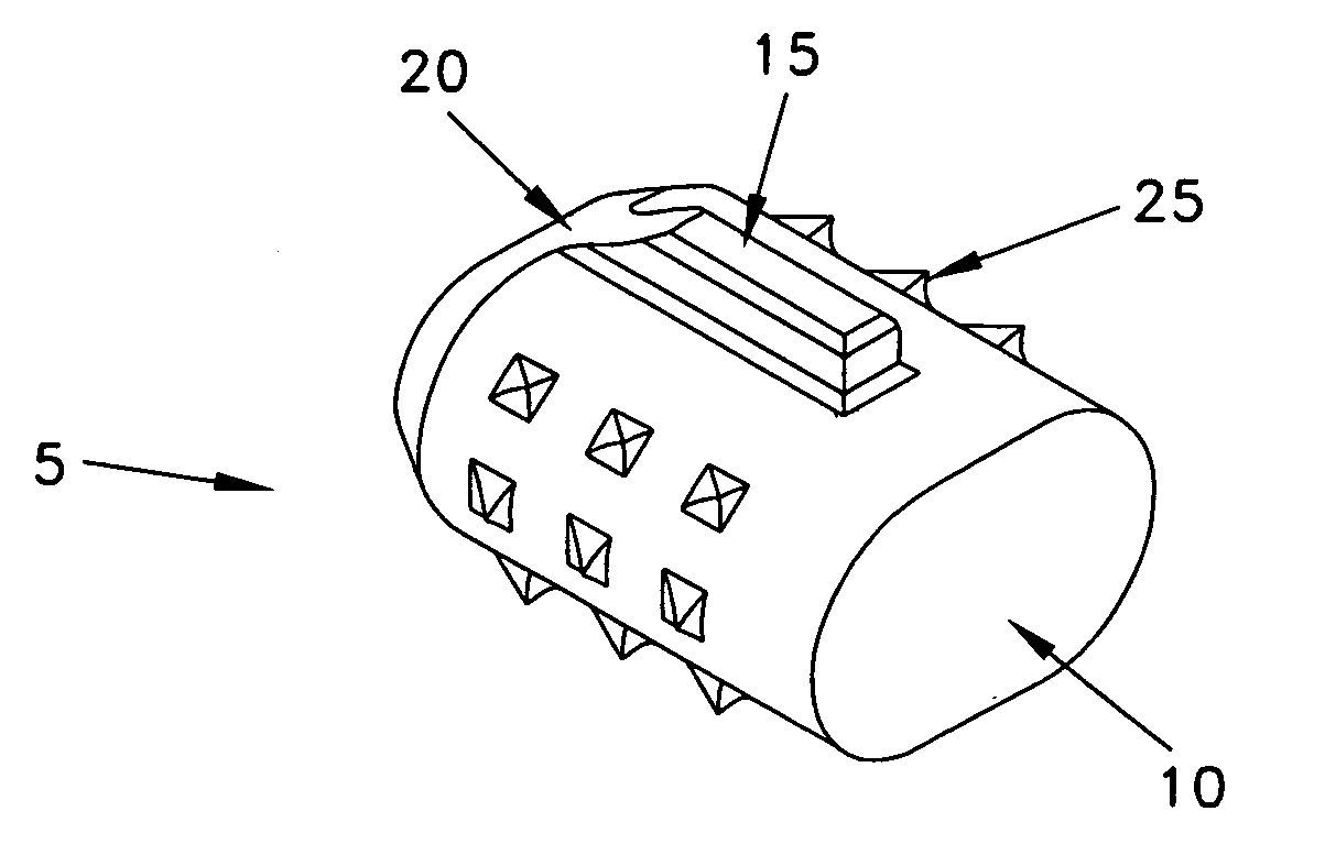 Method and apparatus for spinal facet fusion