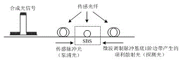 Single-ended vector BOTDA dynamic strain measurement method, and measurement apparatus thereof