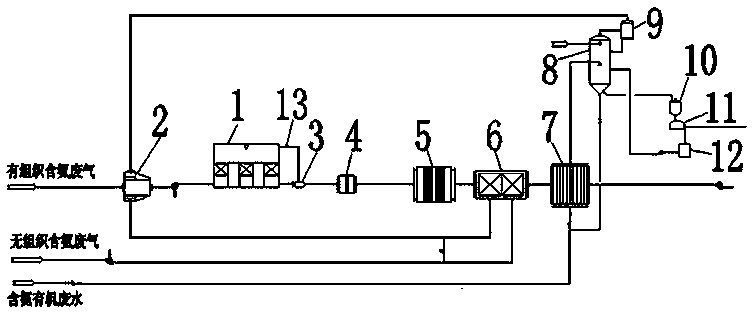 Comprehensive treatment technology and system for ammonia containing organic waste gas and ammonia containing organic waste water