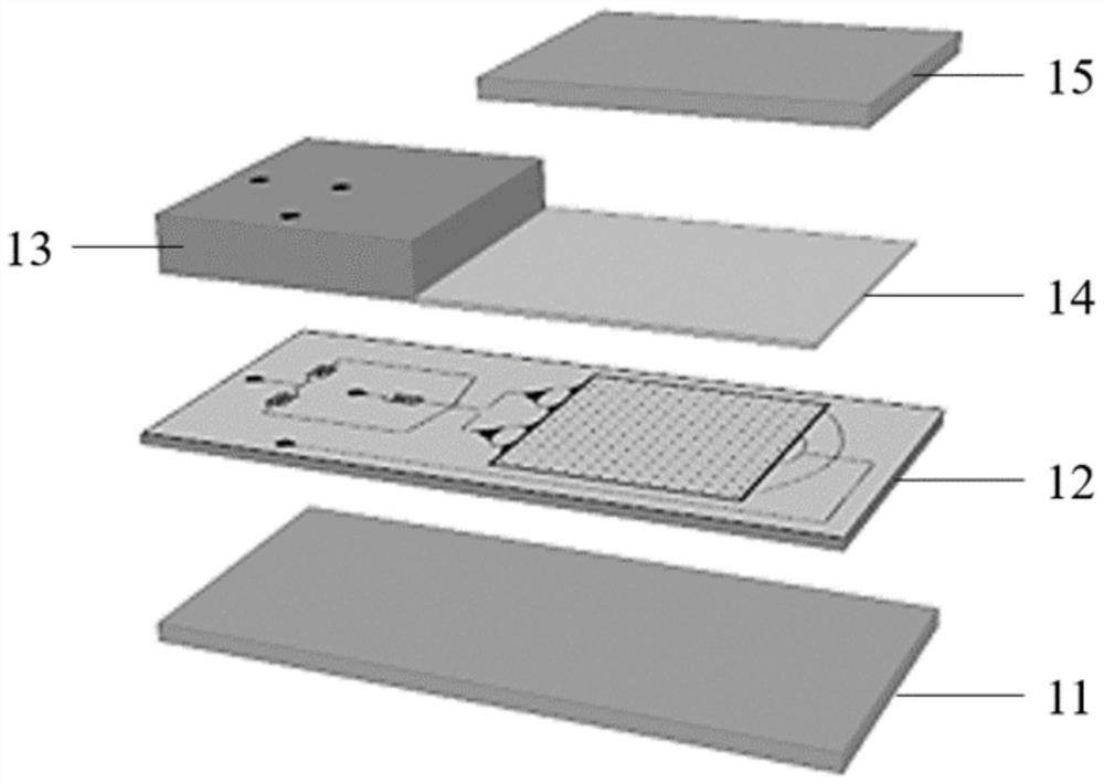 Photocuring oil phase for preparing photocuring droplet array chip, and preparation method, product and application of photocuring droplet array chip