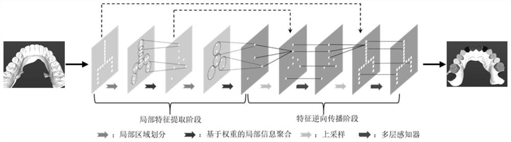 Three-dimensional tooth model grid segmentation method based on local attention mechanism