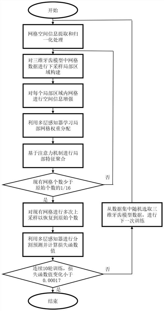 Three-dimensional tooth model grid segmentation method based on local attention mechanism