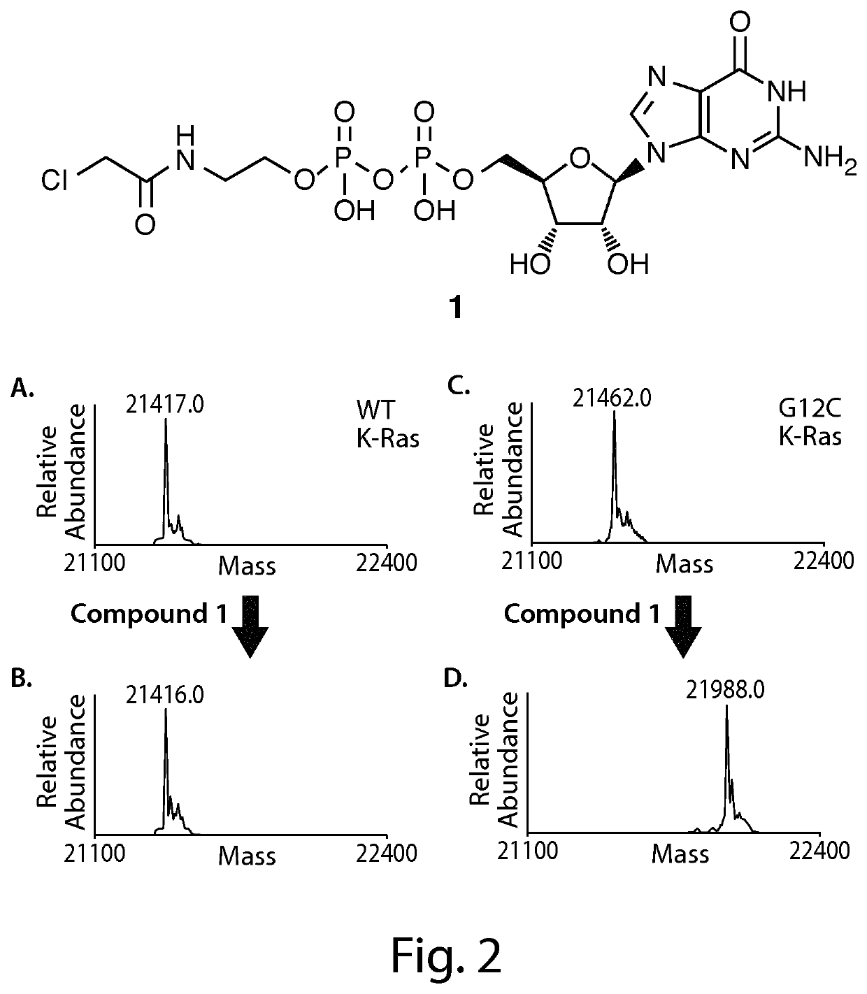 Ras inhibitors and uses thereof