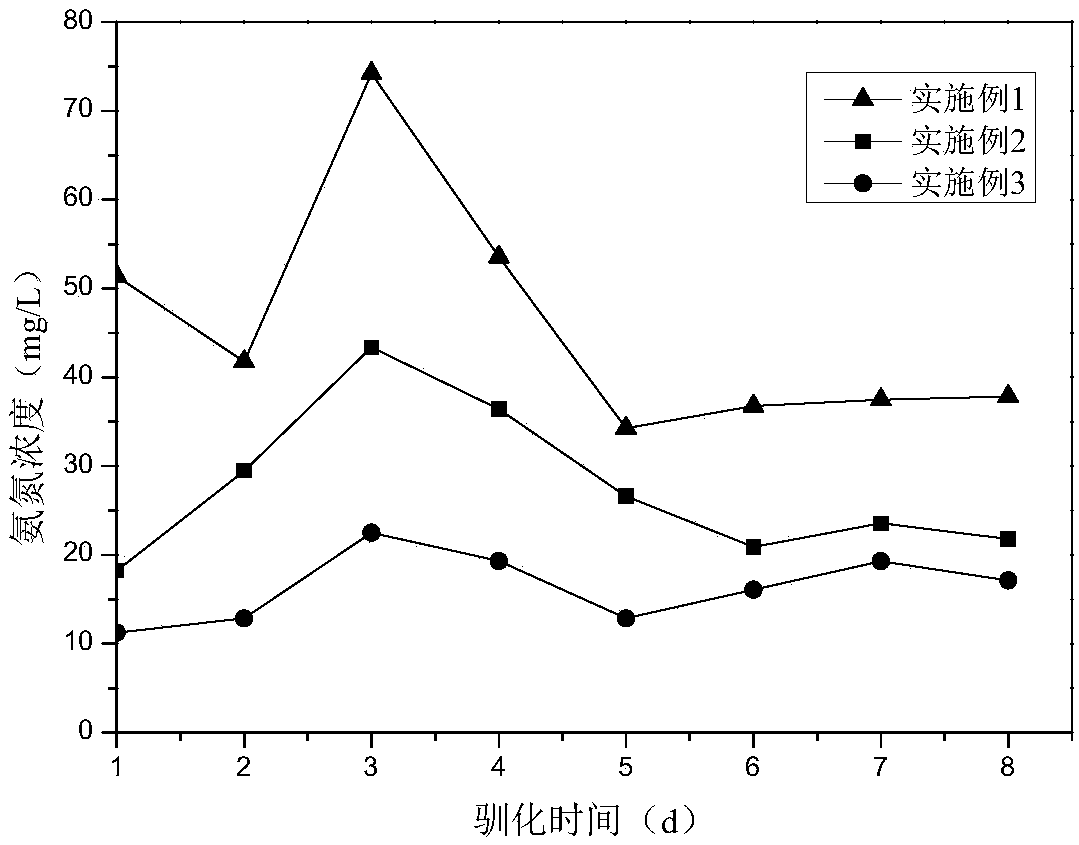 Preparation method of denitrification embedding immobilized granule