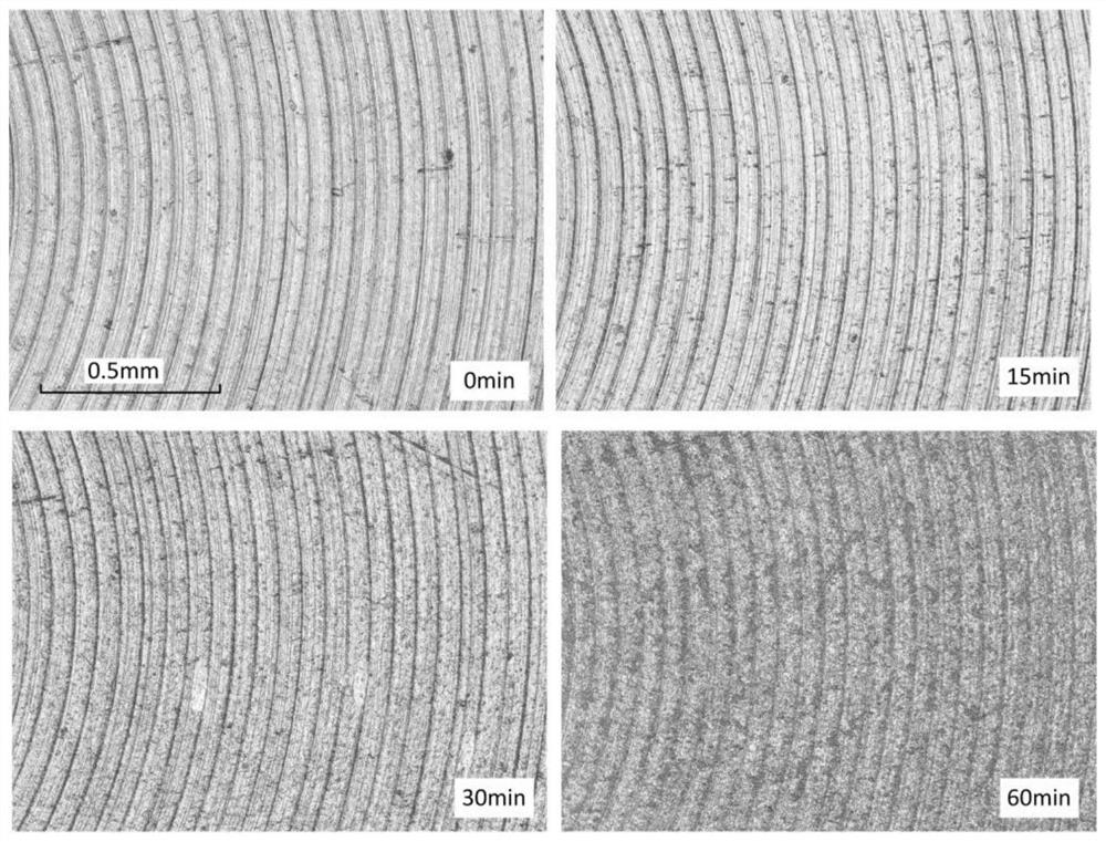 Ultrasonic cavitation shot peening method and its application device