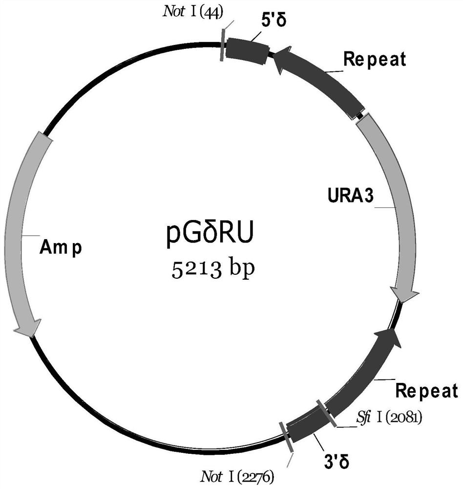 δ integration and secretion of industrial strains of Saccharomyces cerevisiae expressing cellulase and its application