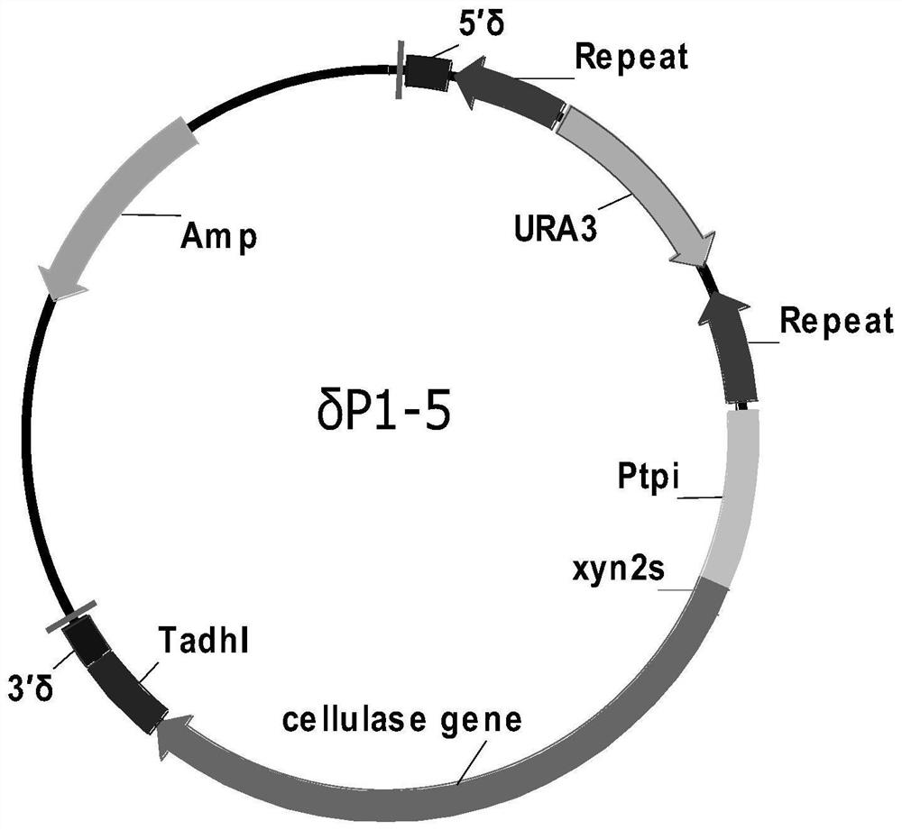 δ integration and secretion of industrial strains of Saccharomyces cerevisiae expressing cellulase and its application