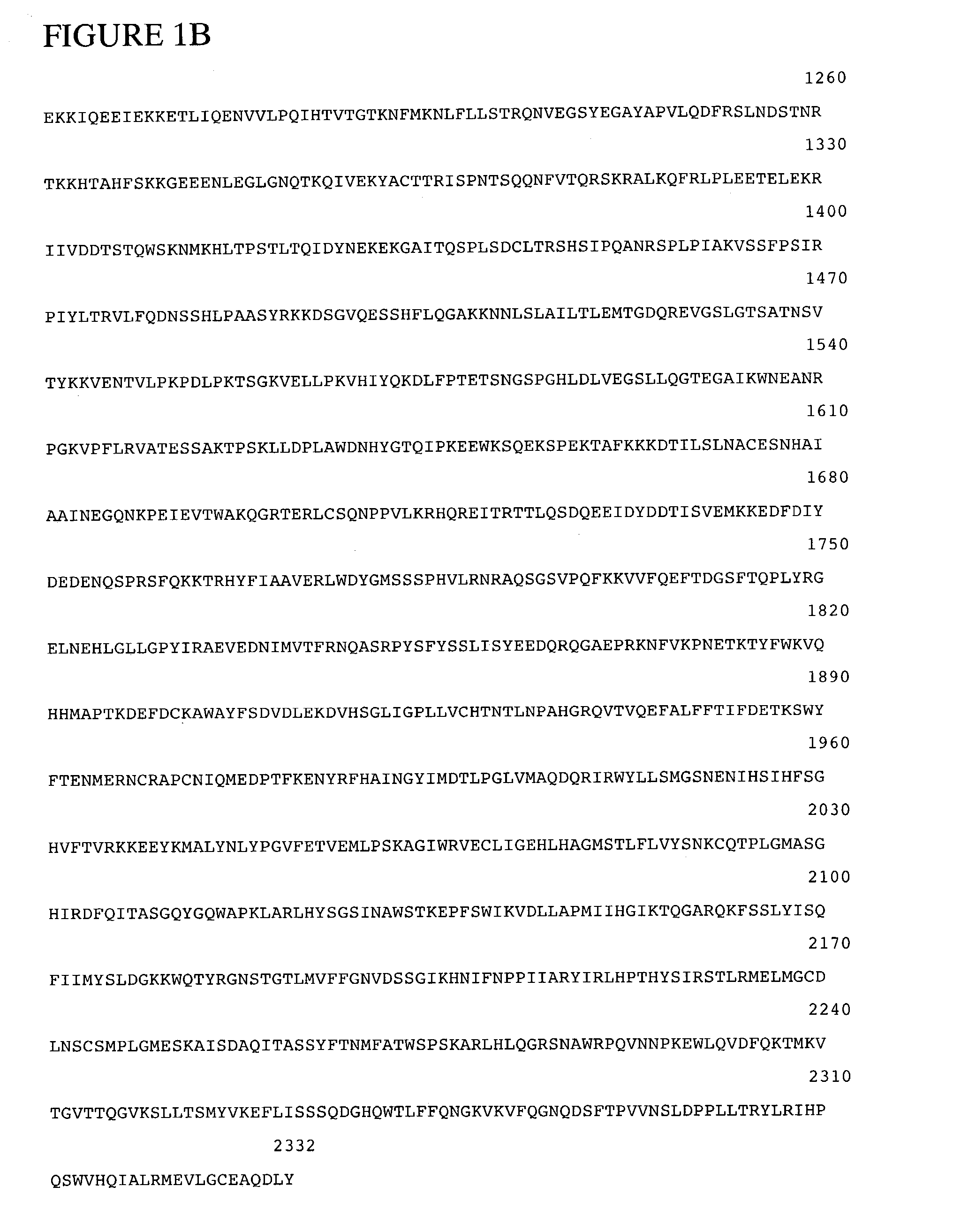 Factor VIII polypeptide