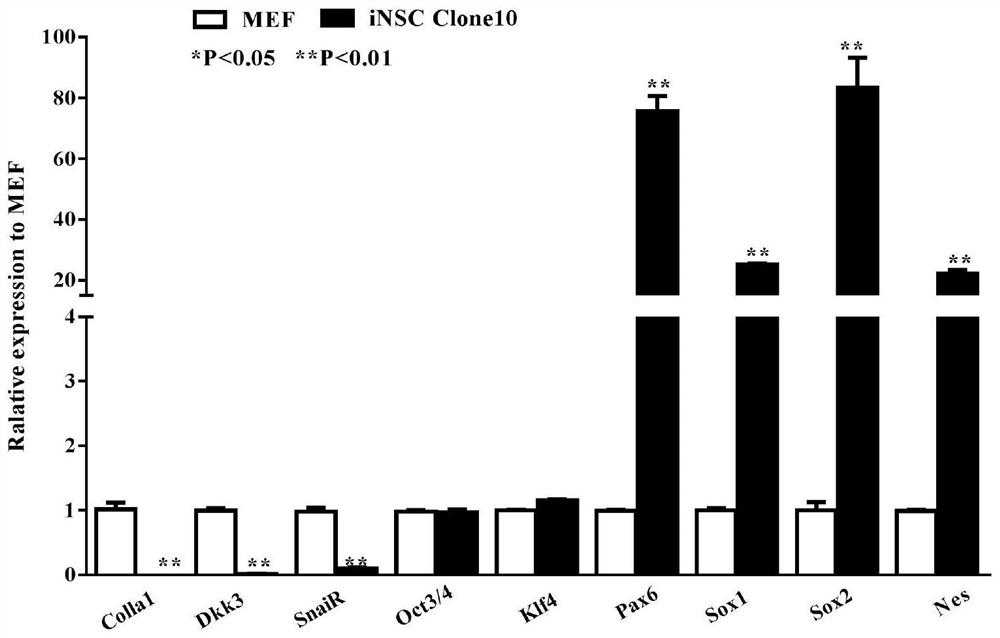 A method for inducing human or animal somatic cells into neural stem cells