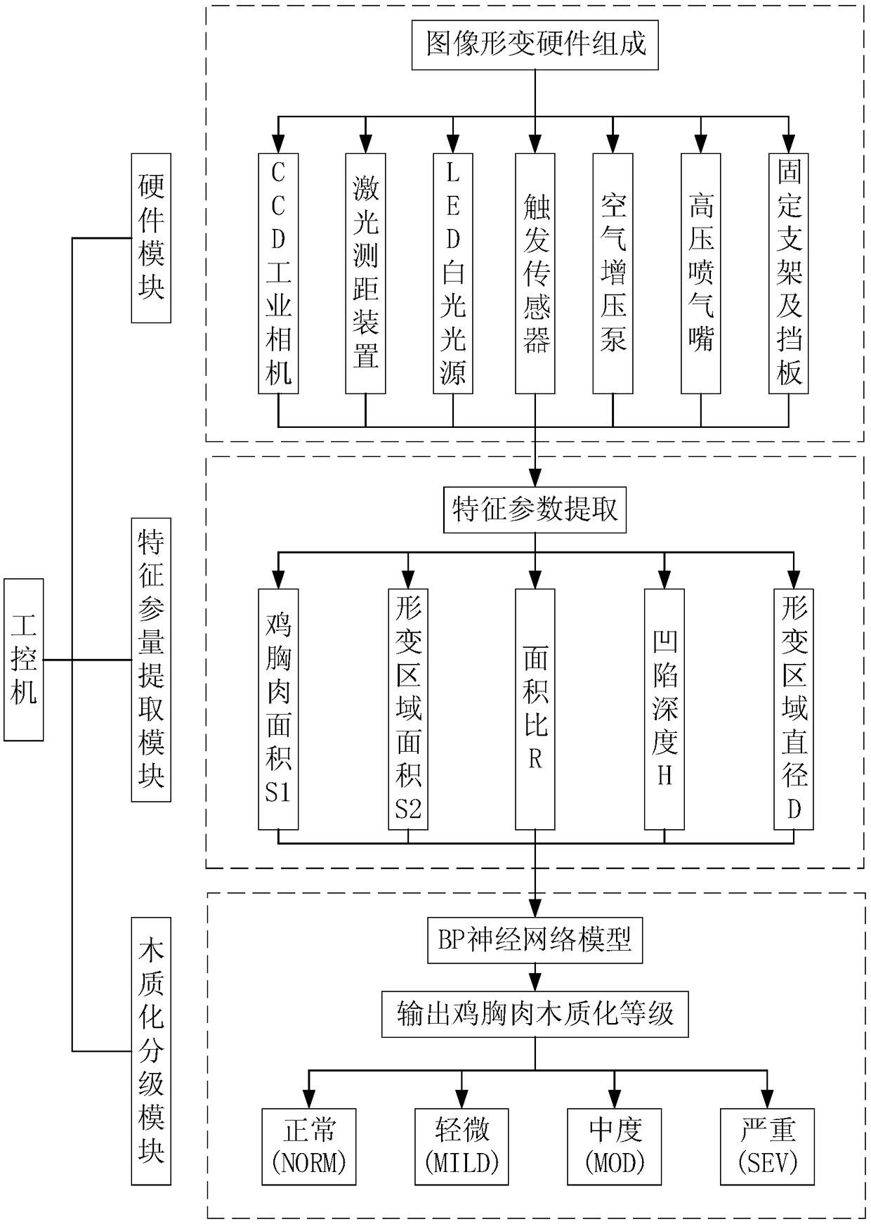 Chicken breast lignification degree grading system and grading method based on image deformation characteristics