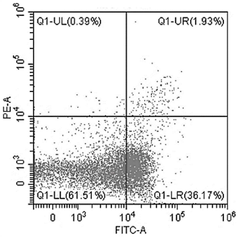 Pretreatment method for keeping animal sperm motility and determining animal sperm apoptosis