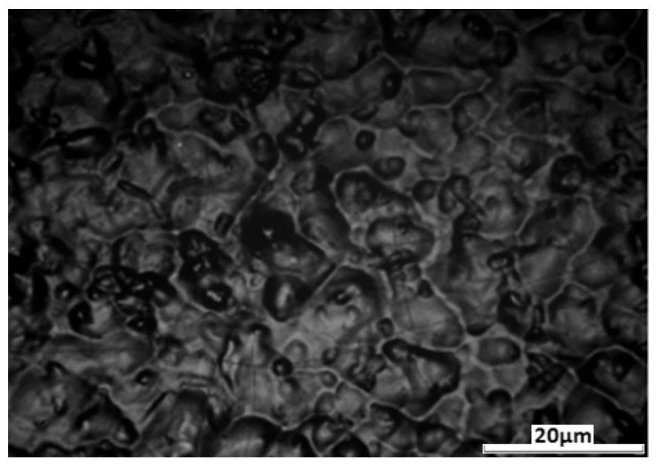 Aluminum alloy processing method, aluminum alloy and medical device resistant to high temperature and damp heat sterilization