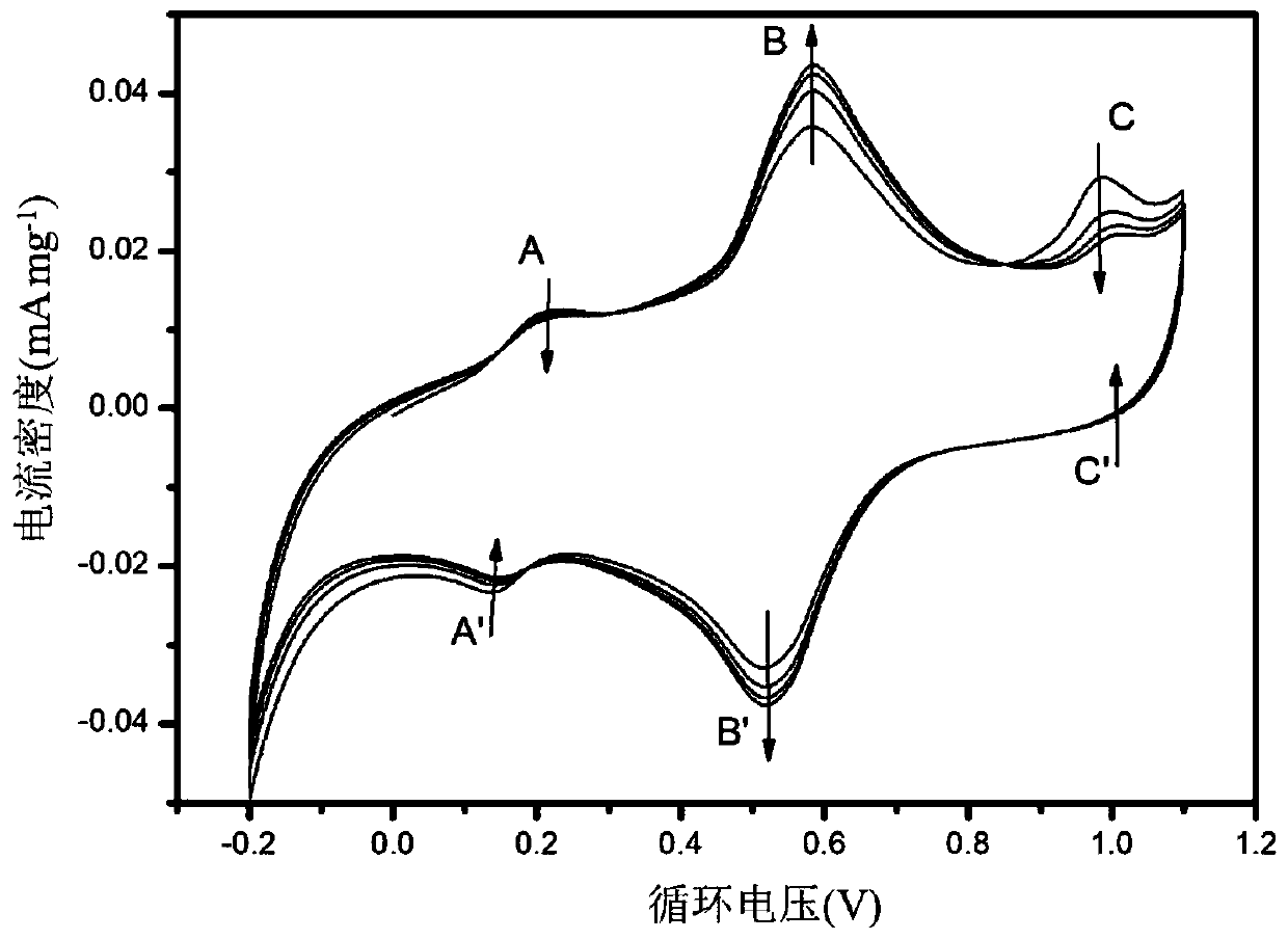 Method for improving alcohol resisting selectivity of NAFION membrane