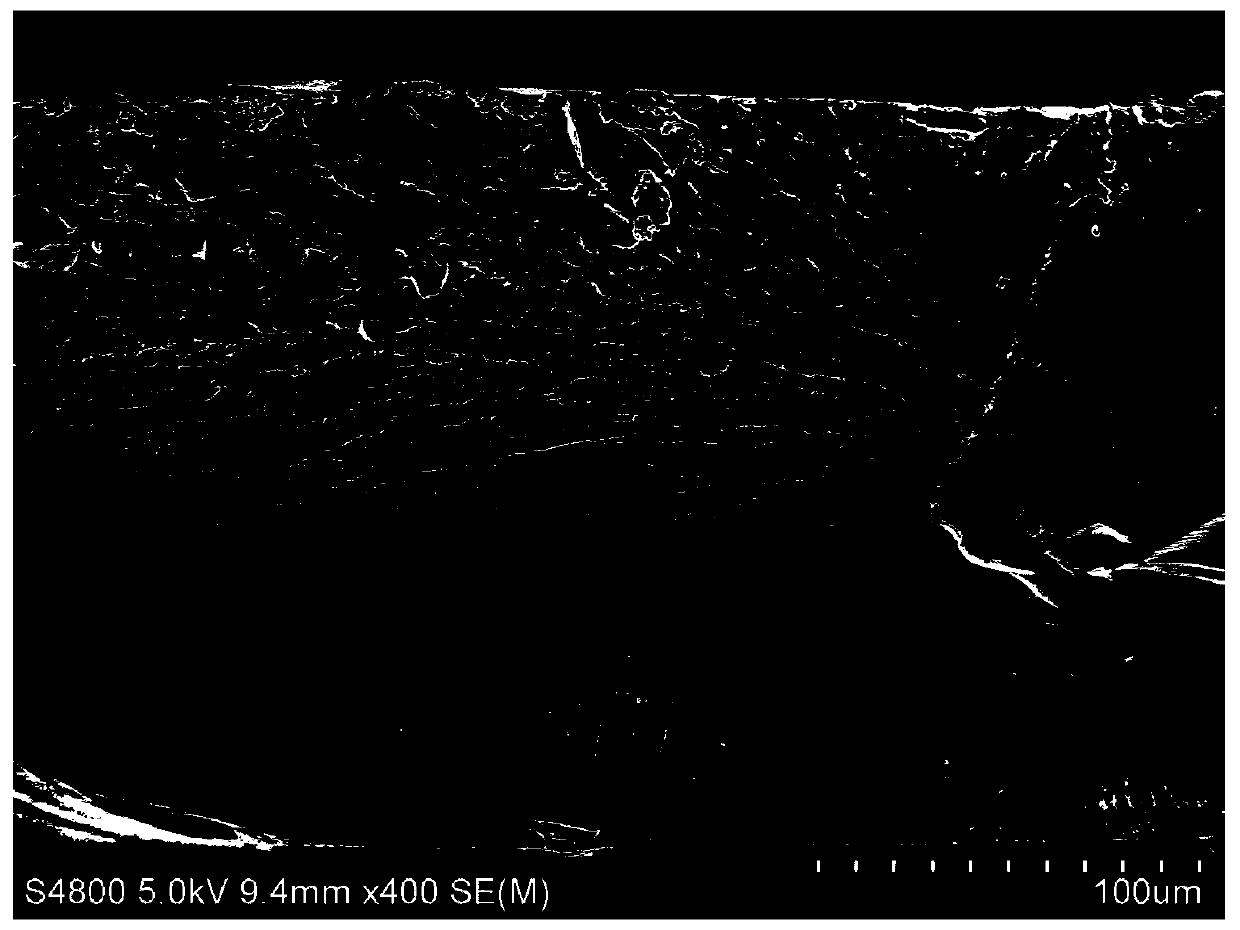 Method for improving alcohol resisting selectivity of NAFION membrane