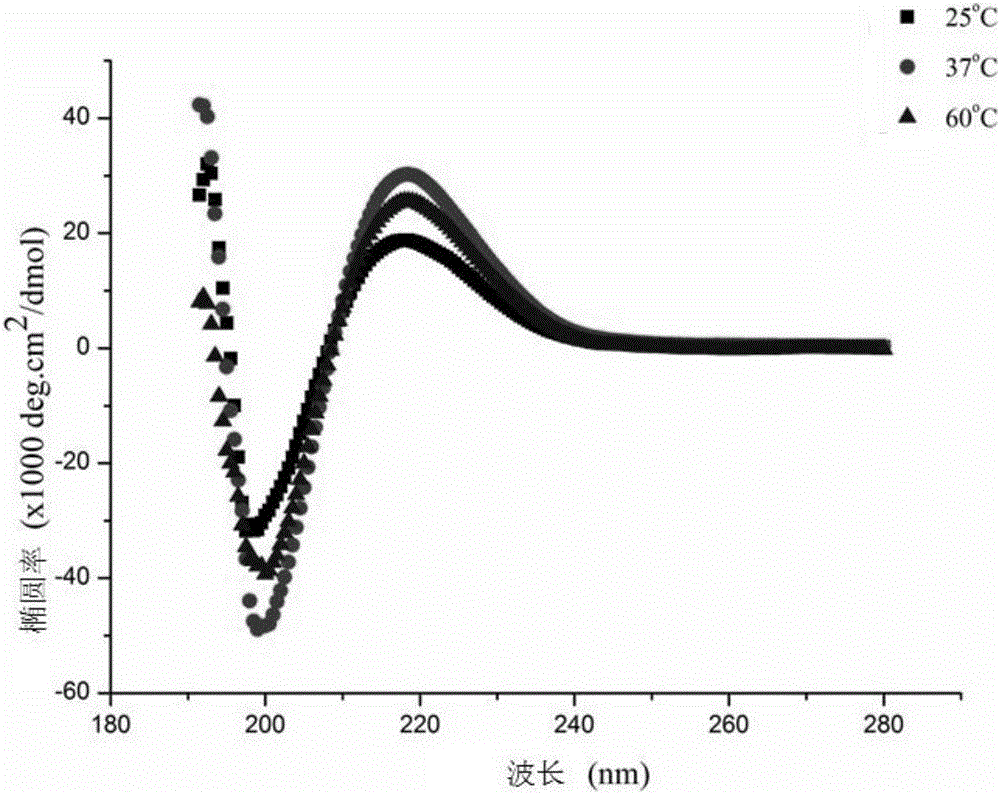 Self-assembly polypeptide d-RADA16-RGD and preparation method and application thereof