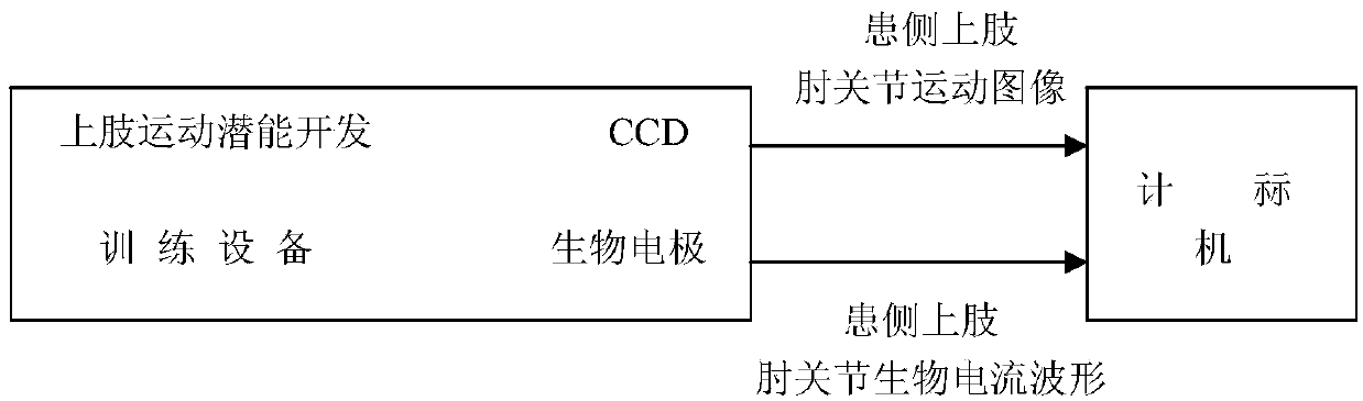 Along-channel and collateral-conduction guiding feedback rehabilitation training system used for lower limb potential development training