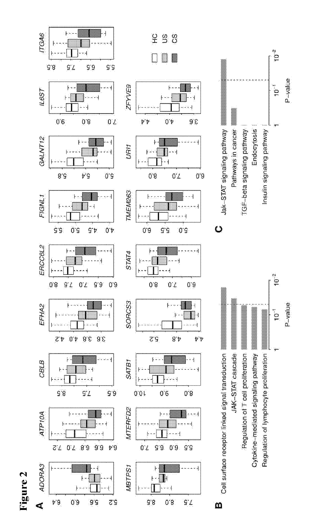 Systems and methods for characterizing granulomatous diseases