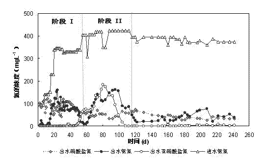 Method for converting active sludge into autotrophic denitrified sludge based on mixed type continuous flow reactor