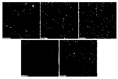 High-breakdown ferroelectric ceramic and preparation method thereof