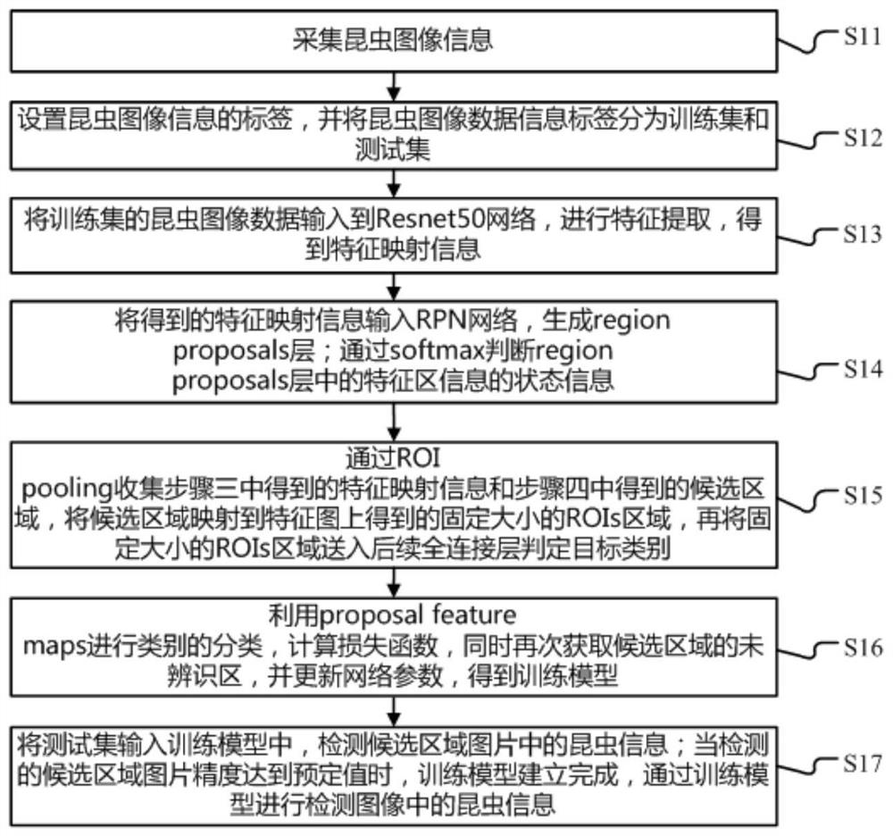 Agricultural pest identification method based on convolutional neural network, terminal and readable storage medium