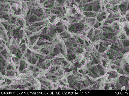 CoSx nanomaterial used as super capacitor electrode and preparation method of CoSx nanomaterial