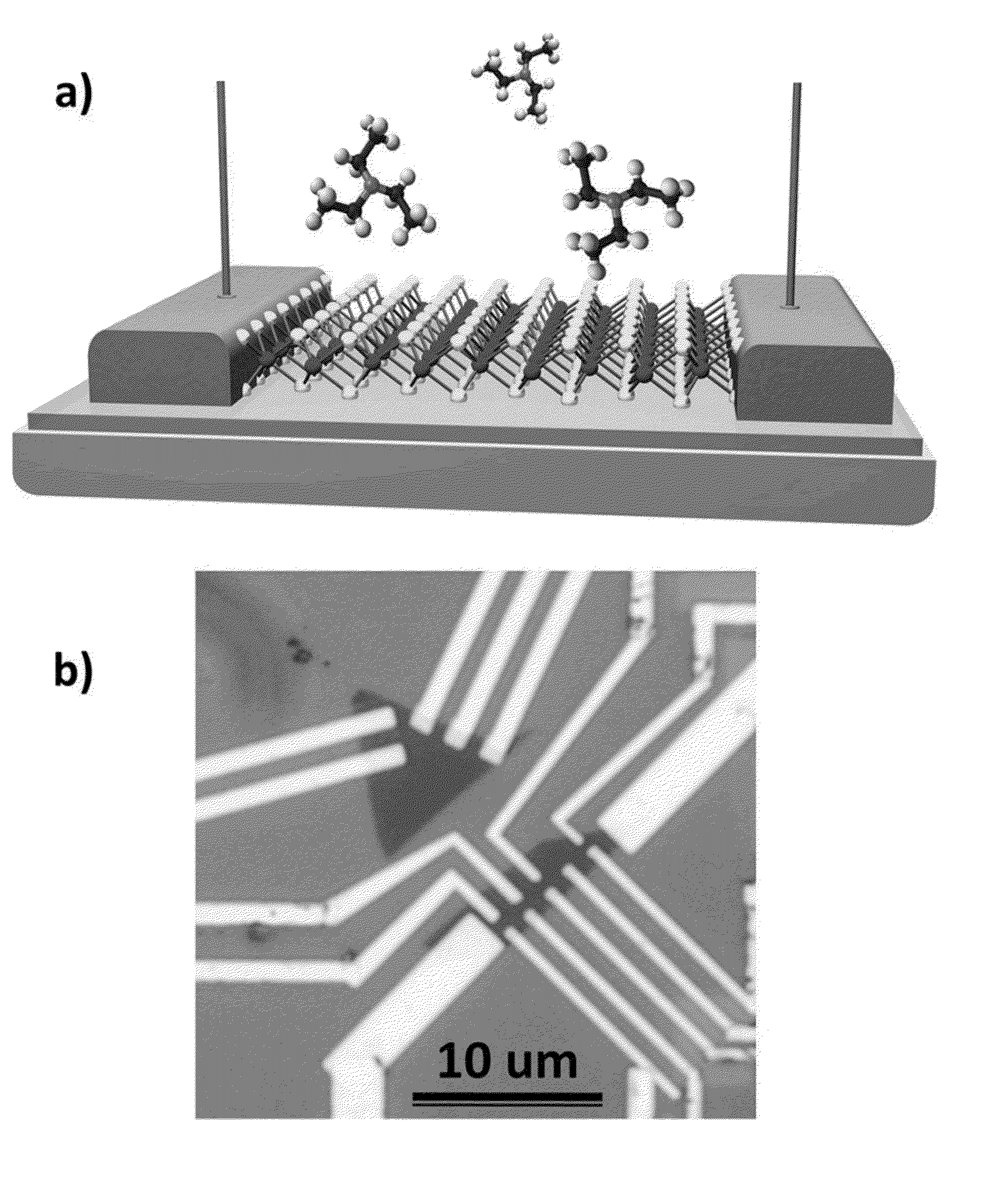 Low-Dimensional Material Chemical Vapor Sensors