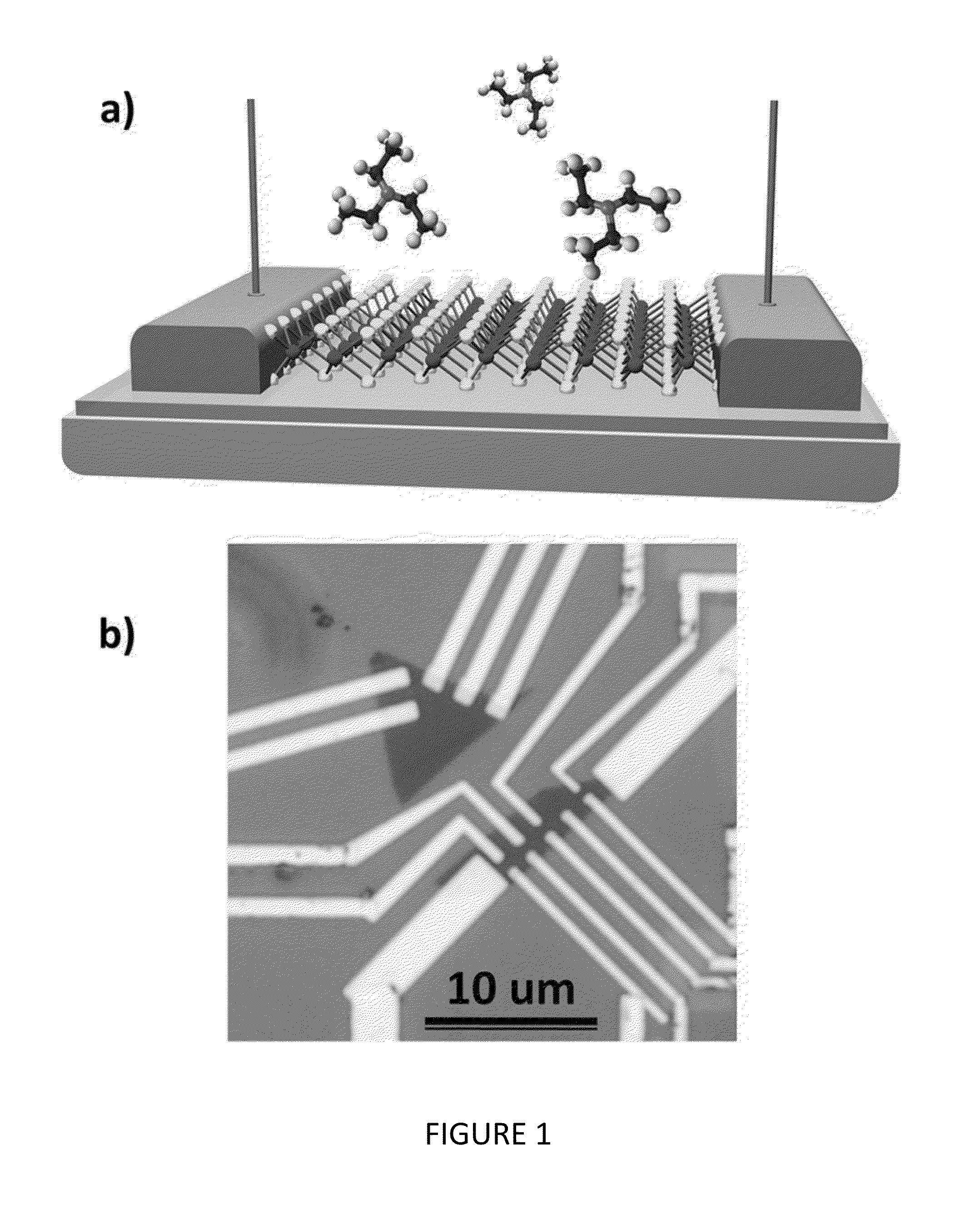 Low-Dimensional Material Chemical Vapor Sensors