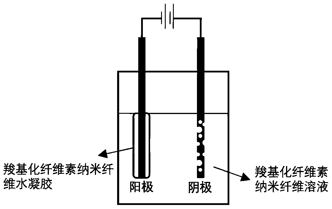 Preparation method of carboxylated cellulose nanofiber hydrogel