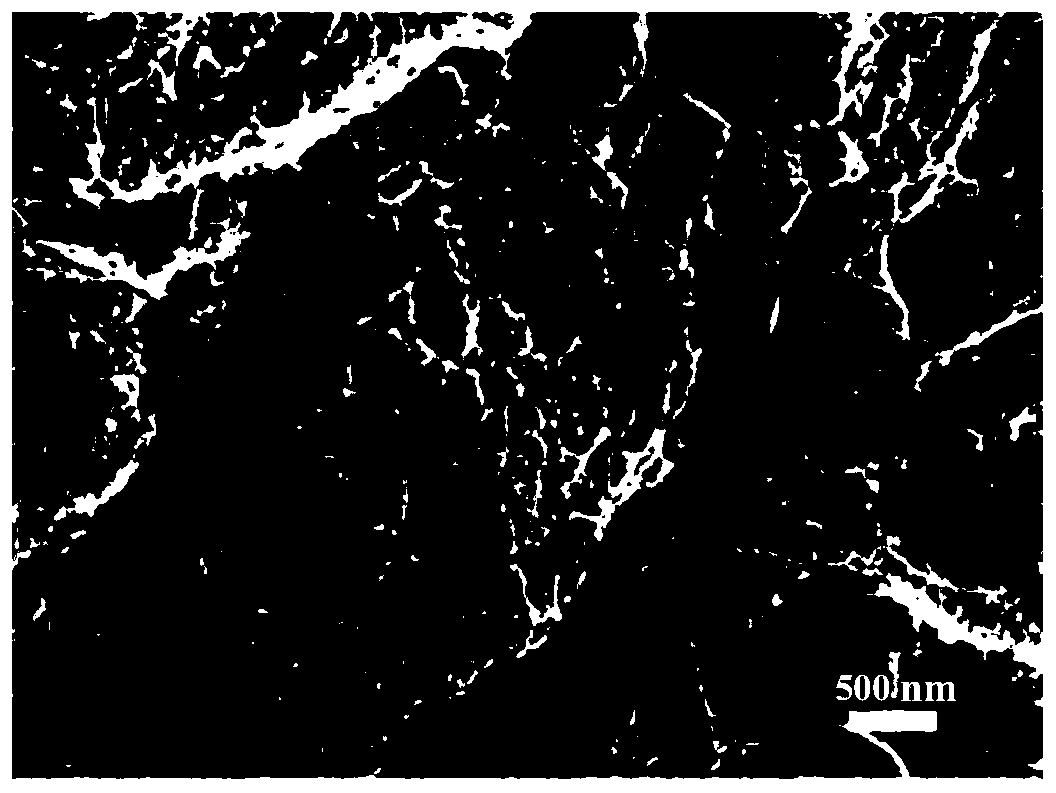 Preparation method of carboxylated cellulose nanofiber hydrogel