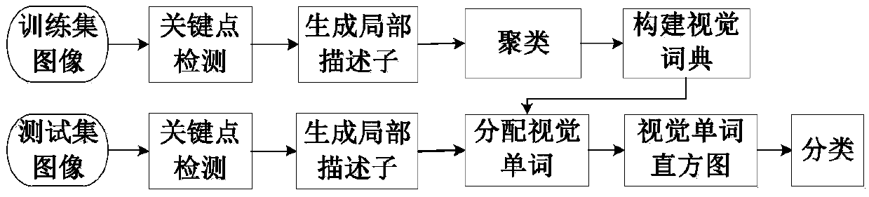 Cashmere and wool fiber identification method based on local features and a word bag model