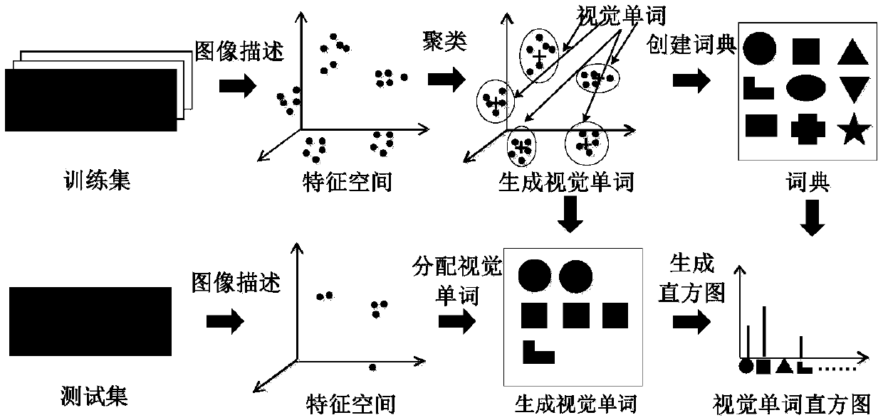 Cashmere and wool fiber identification method based on local features and a word bag model