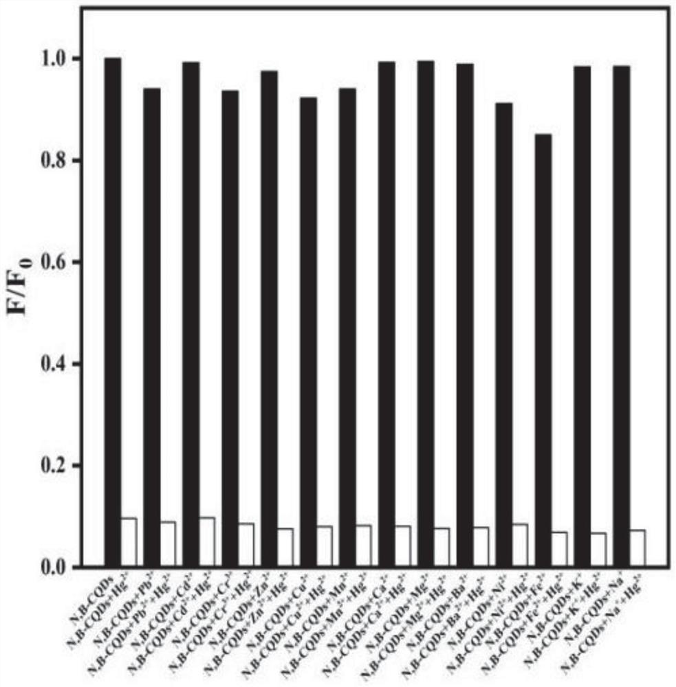 Sulfur-nitrogen-doped carbon quantum dot, preparation method thereof and application of sulfur-nitrogen-doped carbon quantum dot in mercury ion detection