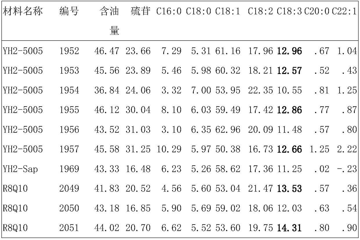 High-linolenic acid rape gene donor and application thereof