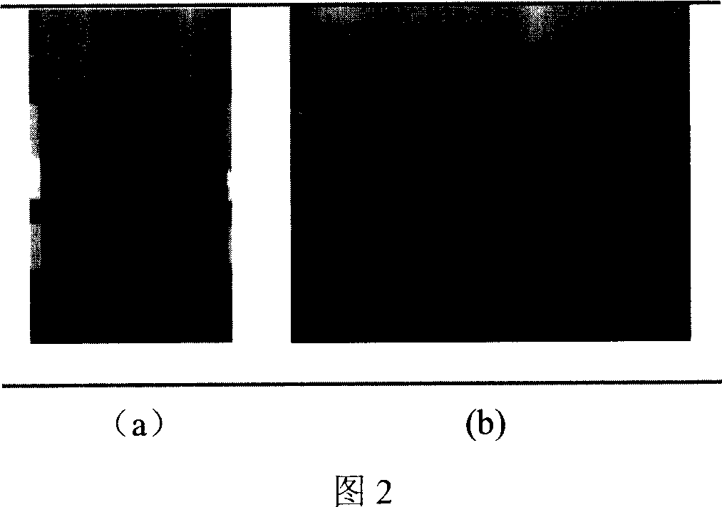 Coupling process for preparing intermediate of semi-synthetic Cephalosperin antibiotics from penicillin fermentation liquid