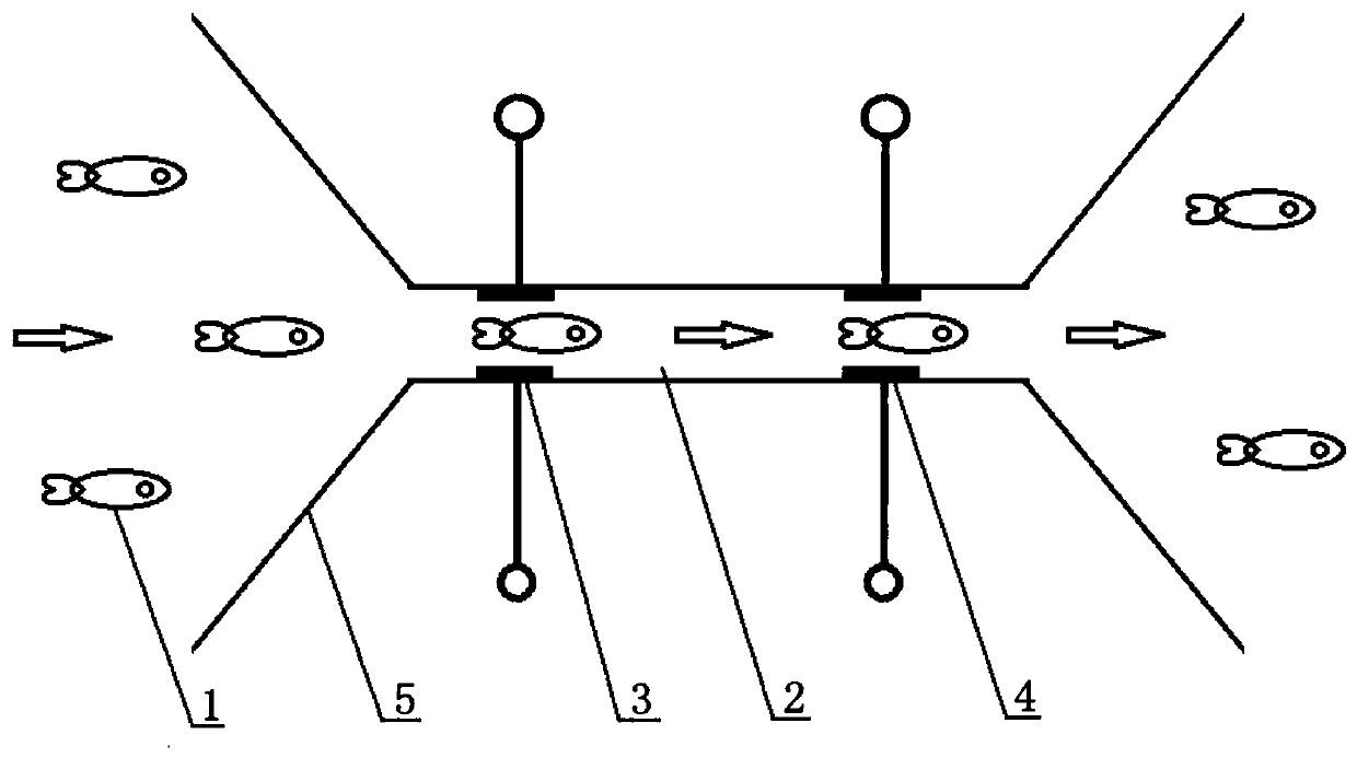 A detection device and detection method for vital sign parameters of swimming aquatic animals