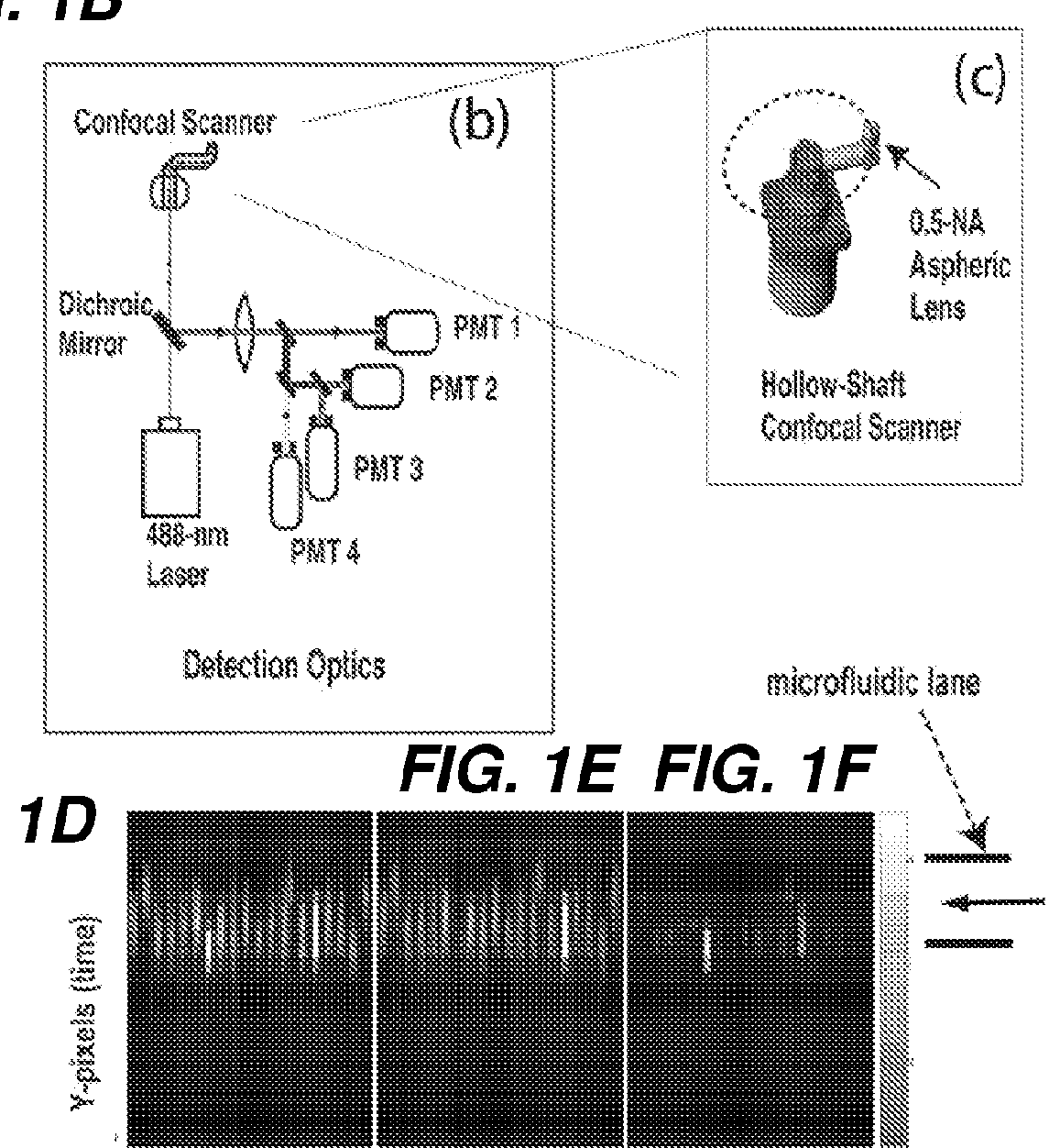 High throughput multichannel reader and uses thereof