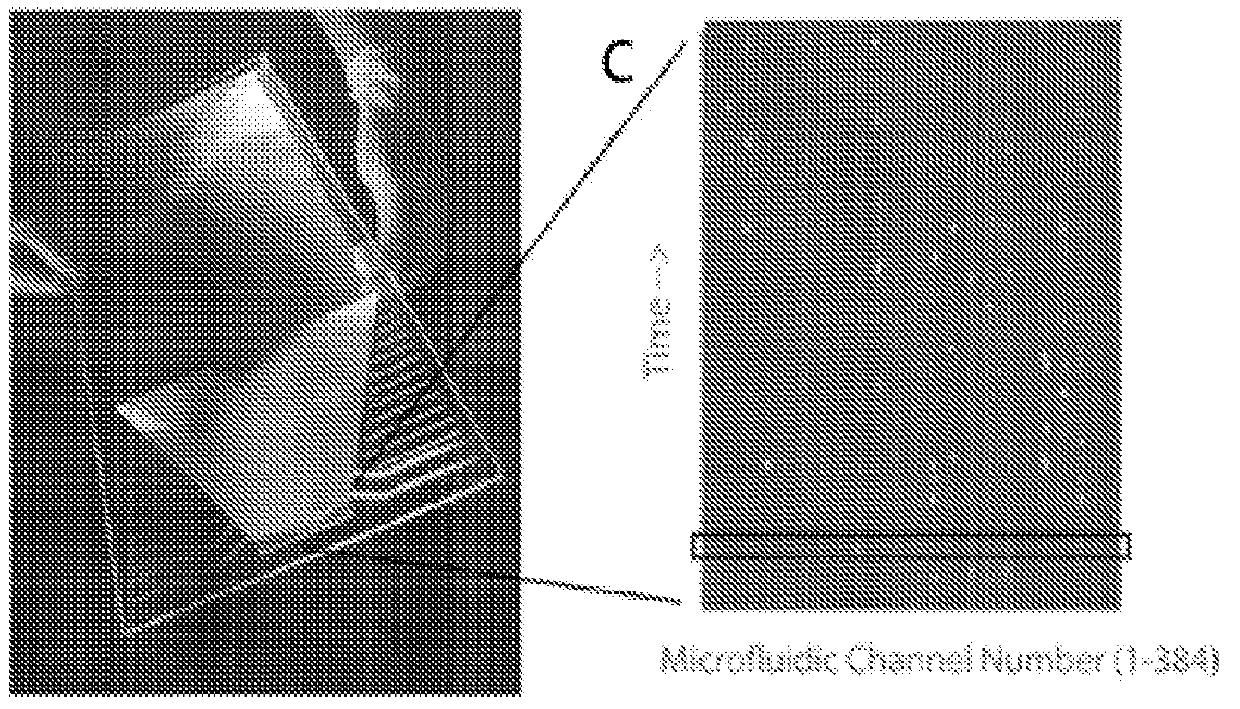 High throughput multichannel reader and uses thereof