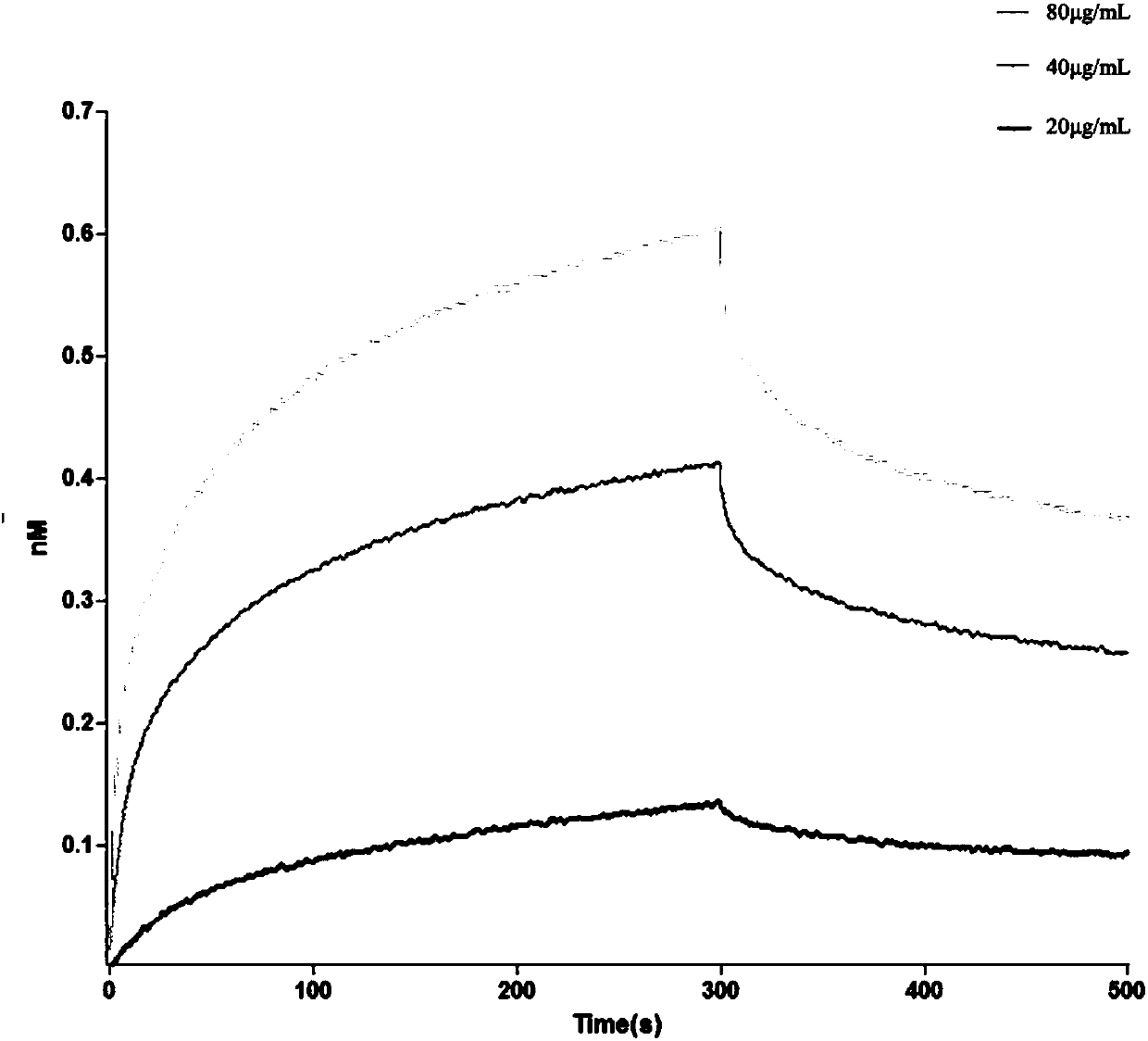 EDB-FN protein targeting peptide with high affinity and application thereof