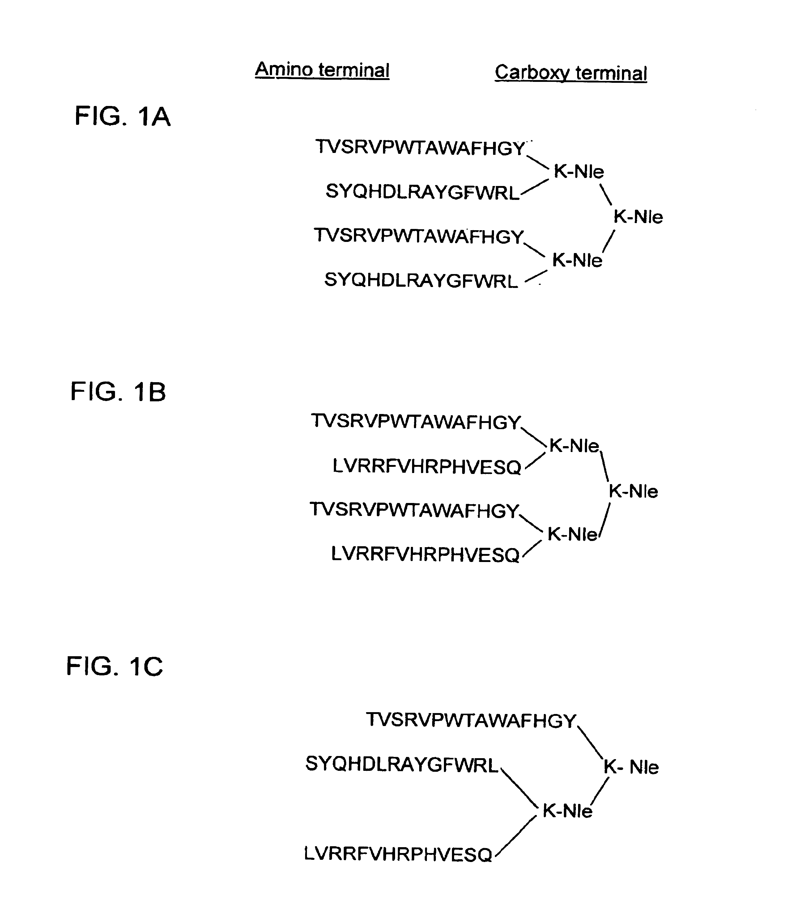 Multiple antigenic peptides immunogenic against Streptococcus pneumonia