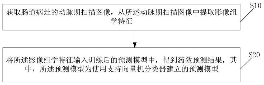 Infliximab efficacy prediction method and terminal equipment for Crohn's disease