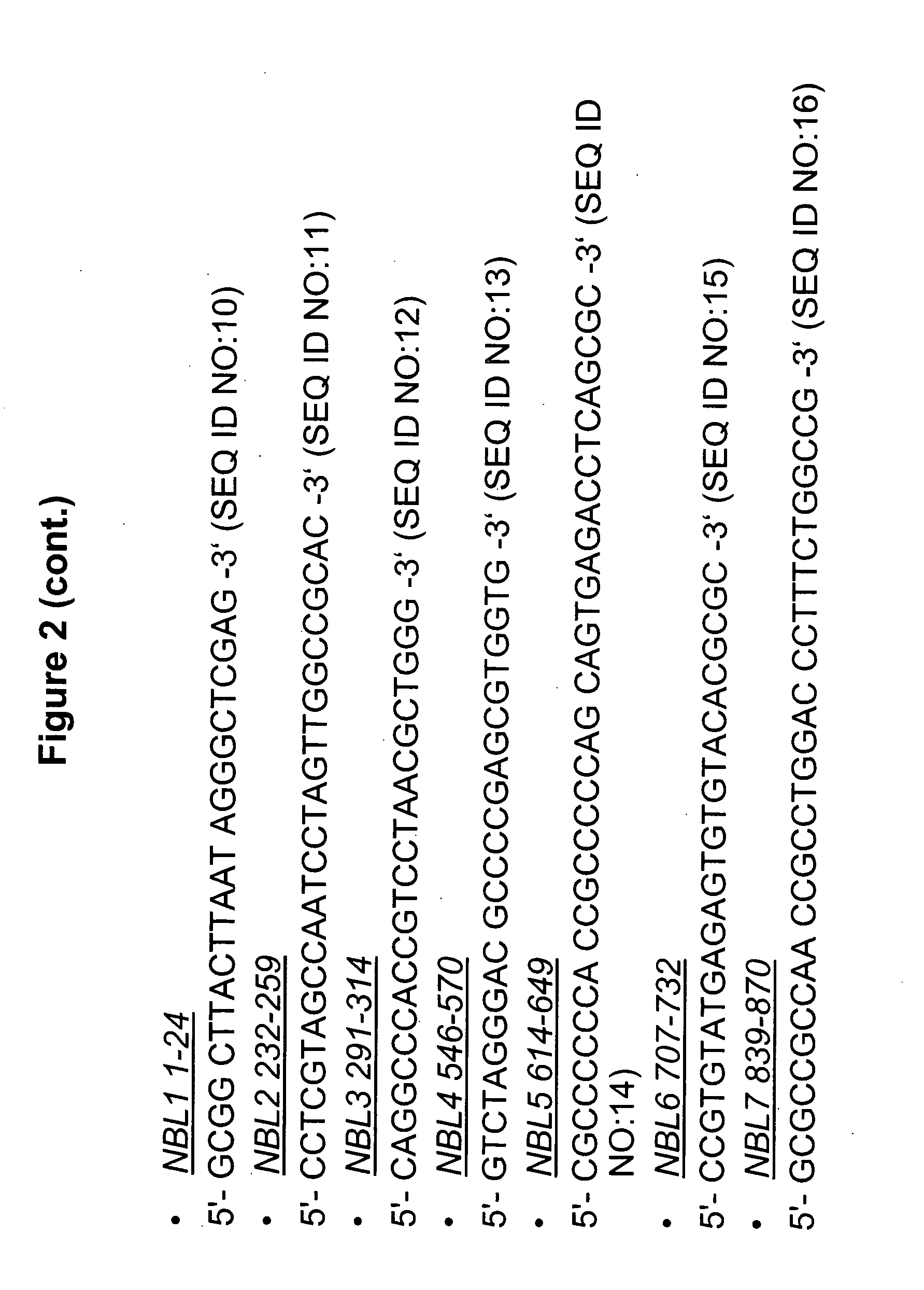 Methods and compositions for the inhibition of gene expression