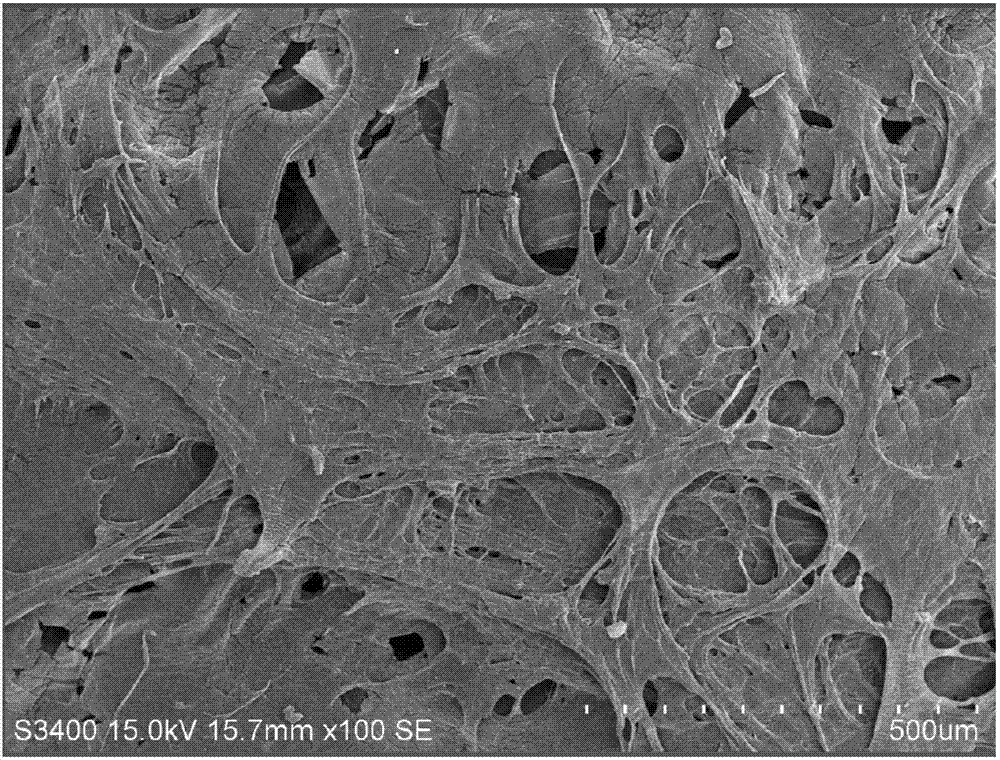 Degradable antifouling thermoplastic micro-airbag polymer elastomer material and preparation thereof