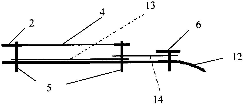 Disposable vaginal pH detection tube