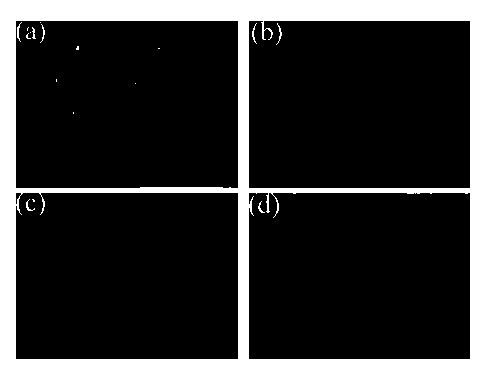 Halloysite nano composite gel microspheres and preparation method thereof