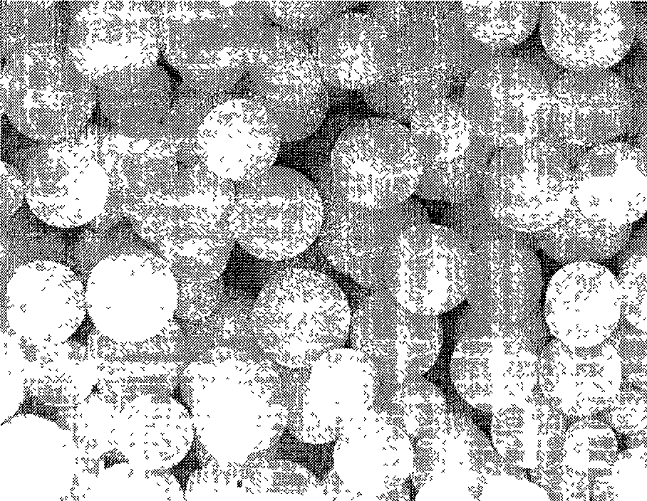 Method for preparing organic high polymer microsphere using sulfide and perchloroacenaphthylene