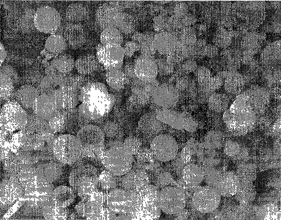 Method for preparing organic high polymer microsphere using sulfide and perchloroacenaphthylene