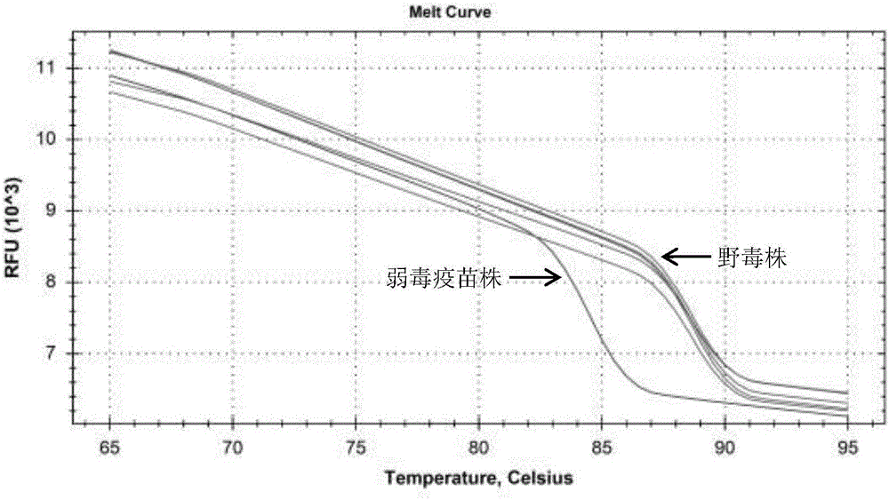 Grass carp reovirus II type vaccine strain and wild strain diagnostic primer, kit employing diagnostic primer and diagnostic detection method