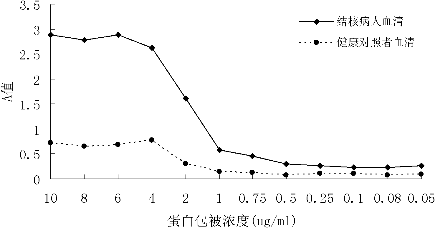 Reagent and method for rapidly detecting antibody of mycobacterium tuberculosis in blood serum