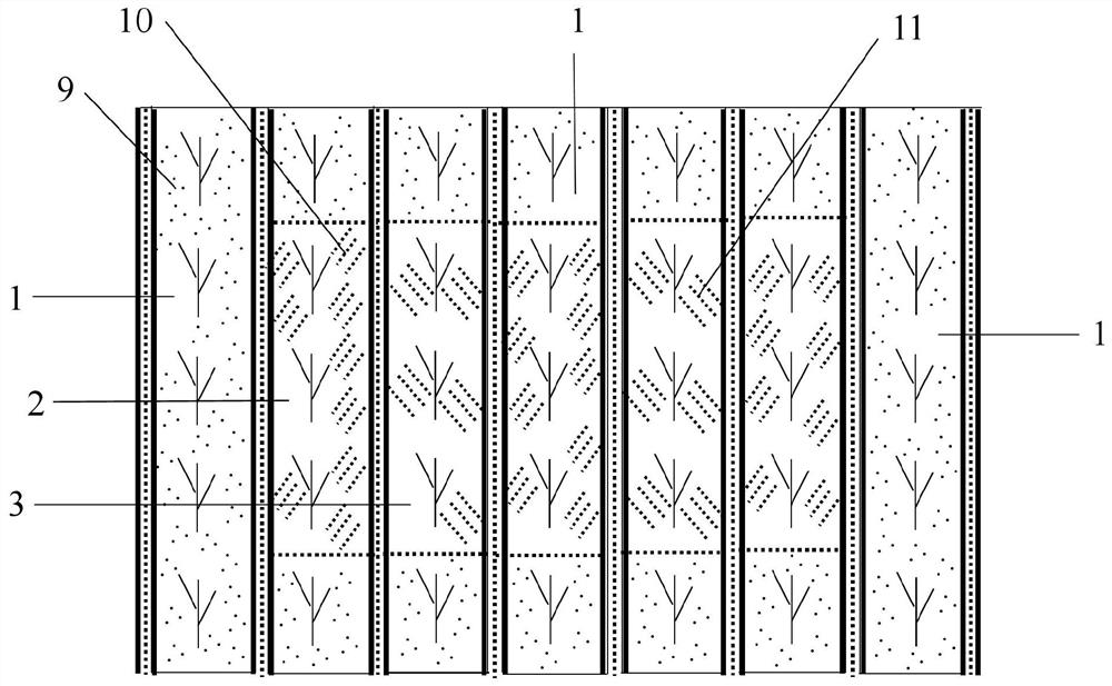 Construction method of three-dimensional functional hedgerow in peach orchard