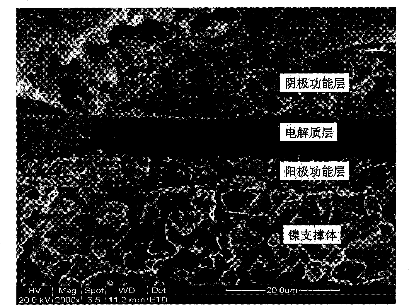 Method for preparing metallic support type solid oxide fuel cell